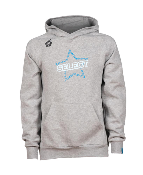 LSS Arena Hoodie